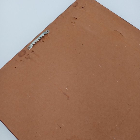 Beautiful Horse Photograph Framed Found Photo Art Cowboy Western Ranch Decor 14 - Picture 12 of 13